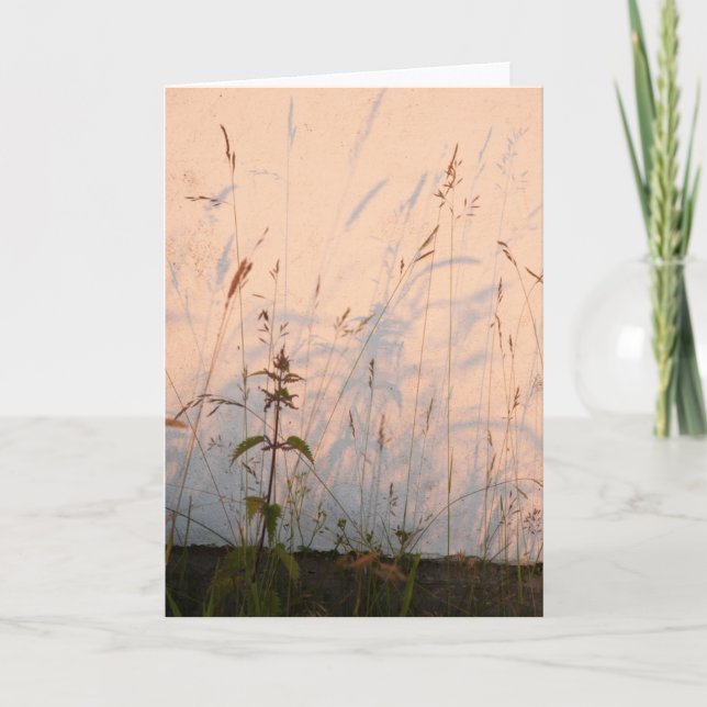 Cartão Sombras de Grama (Frente)