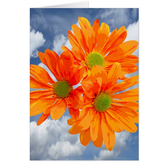 Cartão Somente 3 Gerbera Daisy Blossoms + seu texto e sua (Frente)