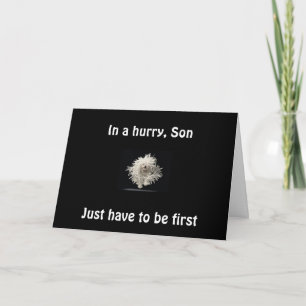 CARTÃO SON-1ST TO SAY CONGRATS GRAD