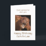 Cartão Son-in-law Birthday, Oring Utan<br><div class="desc">Dê ao seu genro um macaco vicioso de um cartão de aniversário. Um cartão de aniversário para sua própria banana! Um bebê orangotango que parece fofo.</div>