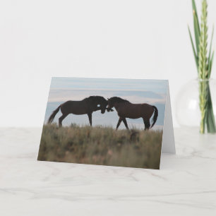 Cartão "Son & Sire" Mustang Wildcard