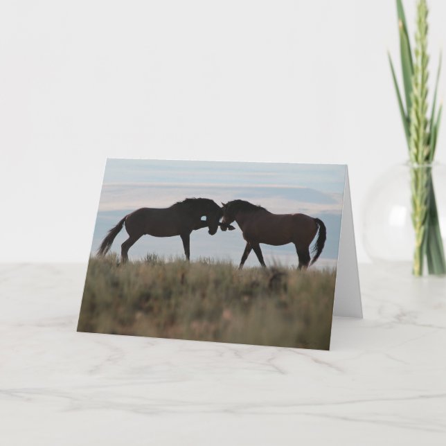 Cartão "Son & Sire" Mustang Wildcard (Frente)