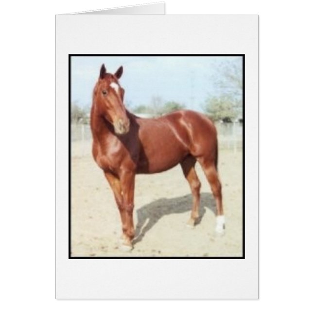 Cartão Sonho CE (Frente)