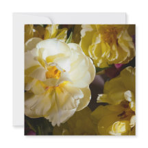 Sonho dourado amarelo floral Obrigado Amigo