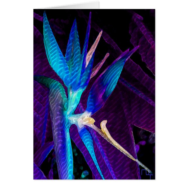 Cartão Sonho tropical (Frente)