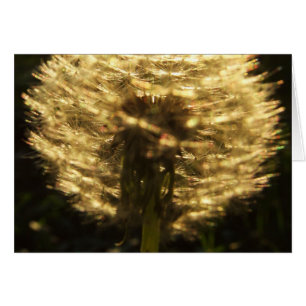 Cartão Sonhos de ouro