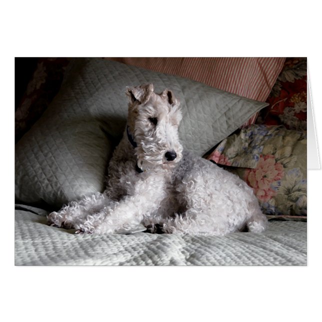 Cartão sonhos doces (Frente horizontal)