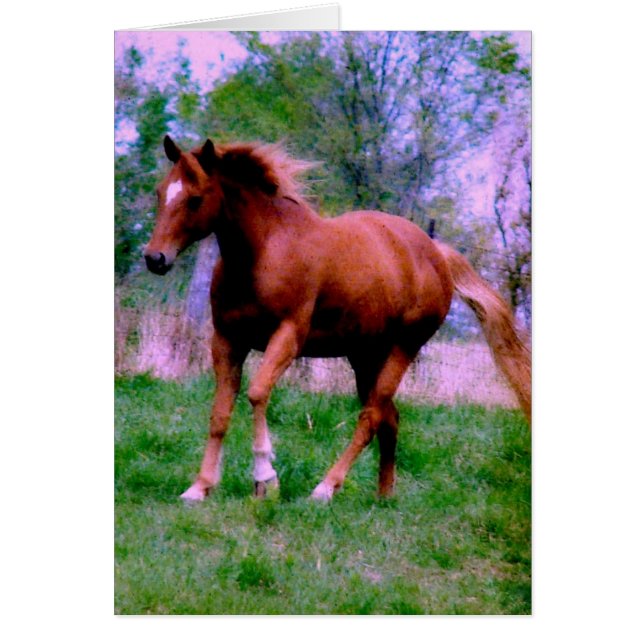 Cartão Sonhos primavera, Sorrel Trotting (Frente)