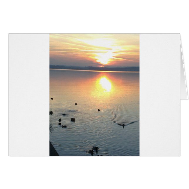 Cartão Sonnenuntergang am mit Enten (Frente Horizontal)