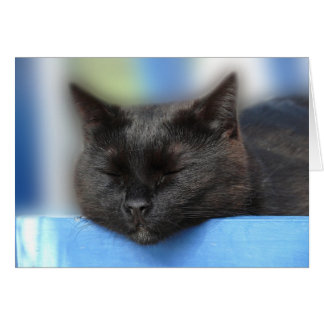 Cartão Sono do gato preto