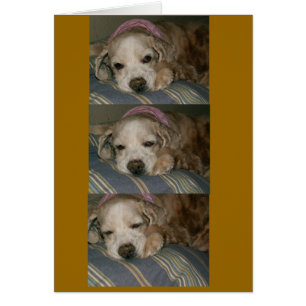 Cartão sono em seattle