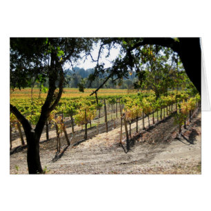 Cartão Sonoma Vineyard