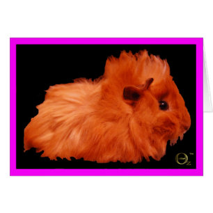 Cartão Sopro de pó