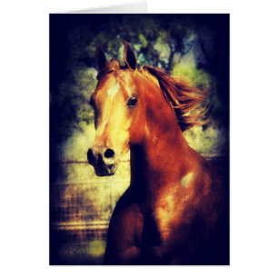 Cartão Sorrel Arabian
