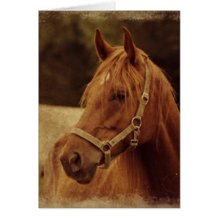 Cartão Sorrel Horse Grunge