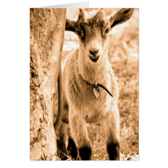 Cartão Sorria (Frente)