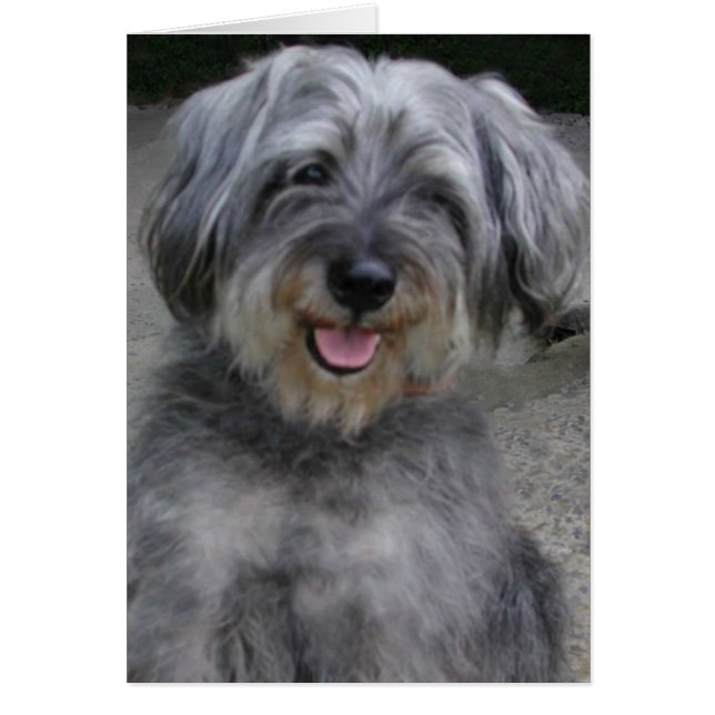 Cartão Sorria! (Frente)