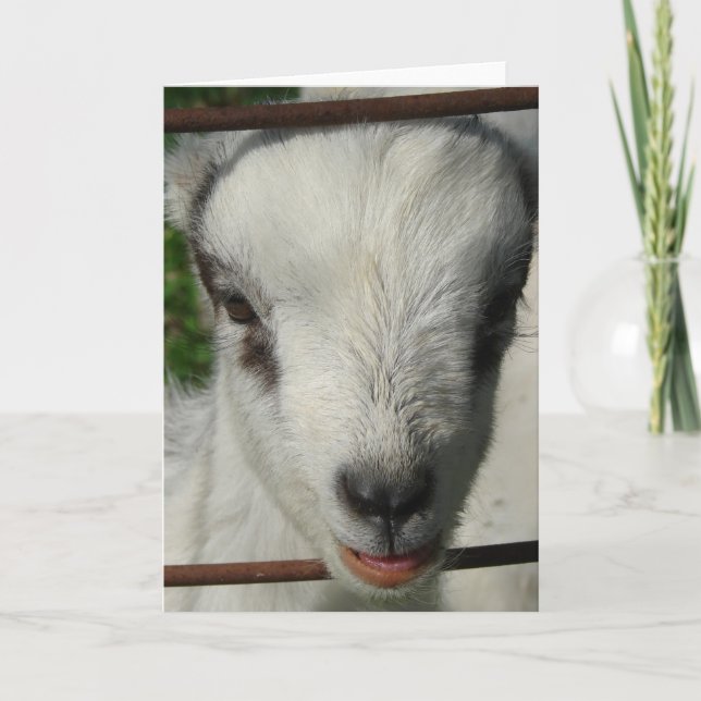 Cartão Sorria (Frente)