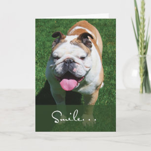 Cartão Sorria, Pensando em Você, Bulldog