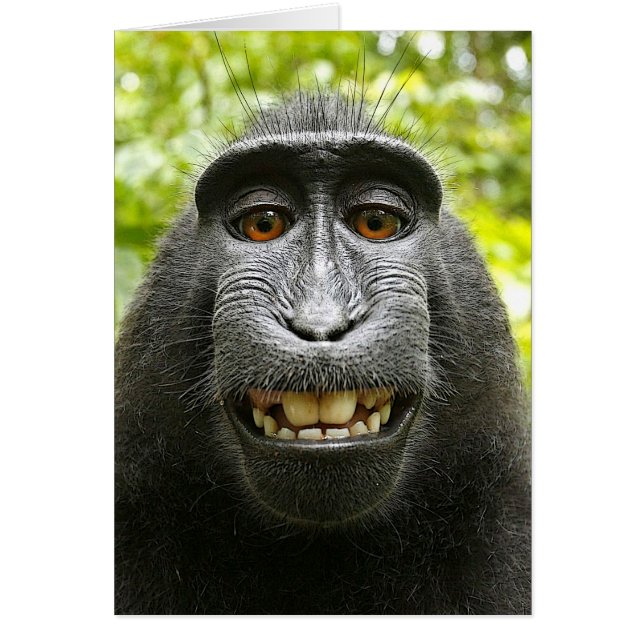 Cartão Sorriso Celebes Magras (Frente)