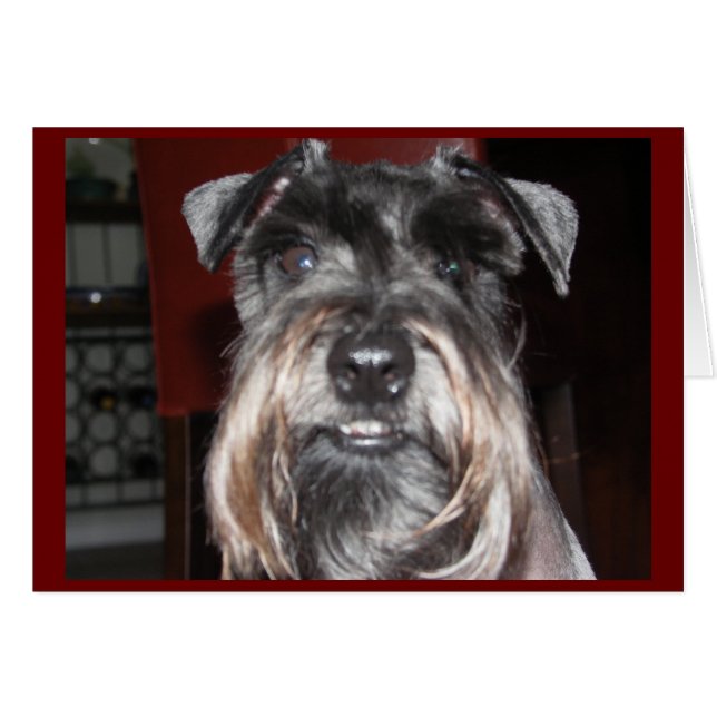 Cartão SORRISO comigo! (Frente Horizontal)