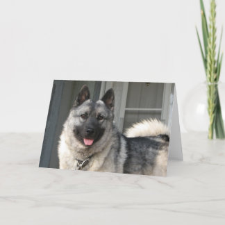 Cartão Sorriso de Bergen