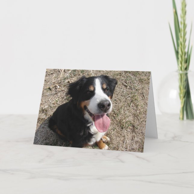 Cartão Sorriso de Cão de Montanha Bernês (Frente)
