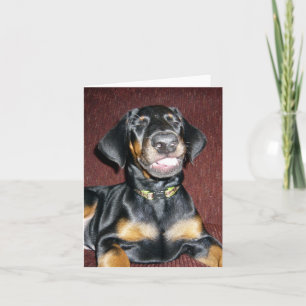 Cartão Sorriso Doberman Pinscher Puppy - Placa de Nota de