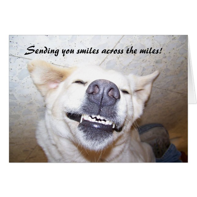 Cartão Sorrisos através da carta Miles (Frente Horizontal)