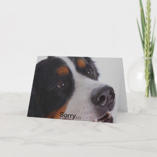 Cartão Sorry, you lost your pet