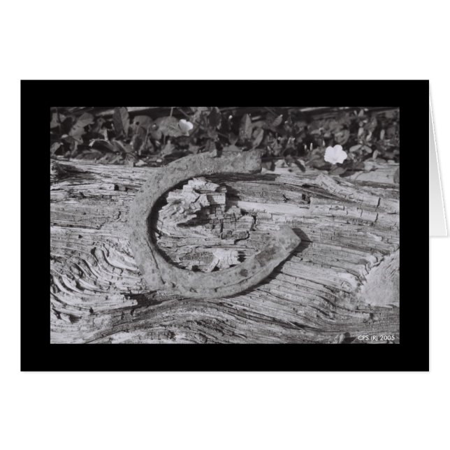 Cartão Sorte vestida (Frente horizontal)