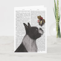 Sorvete de Boston Terrier