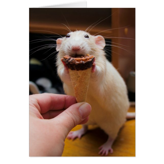 Cartão Sorvete de Comida Marty (Frente)