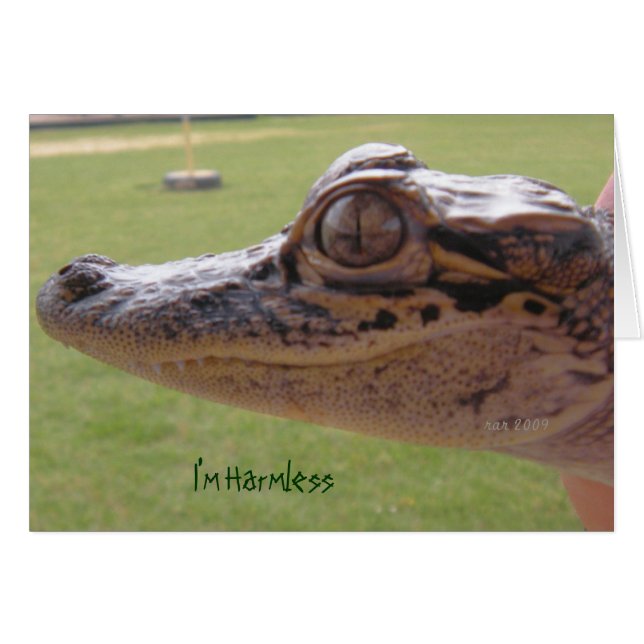 Cartão Sou inofensiva (Frente Horizontal)