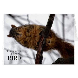 Cartão Sou um PÁSSARO!
