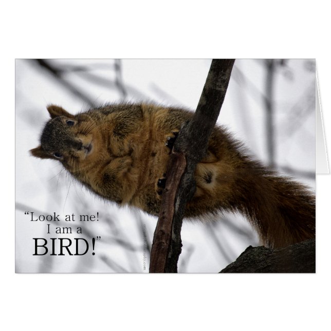 Cartão Sou um PÁSSARO! (Frente Horizontal)