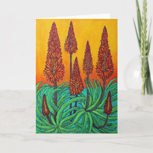 Cartão South African Fireball Greeting Card, Lisa Lorenz