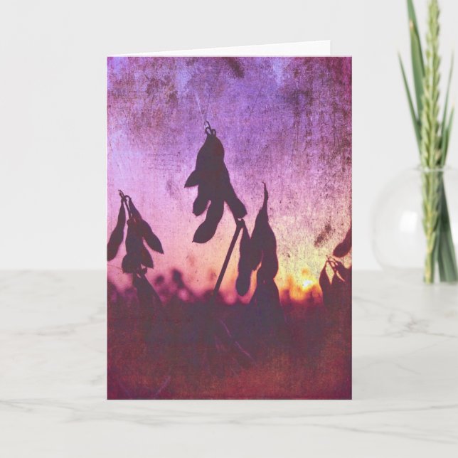 Cartão Soybean Sunset Grunge (Frente)