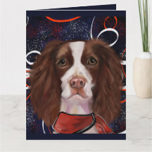 SPANIEL DE MOLAS INGLÊS   