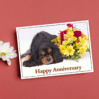 Cartão Spaniel de rei descuidado Charles do aniversário