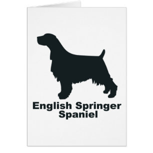 Cartão Spaniel de Springer inglês