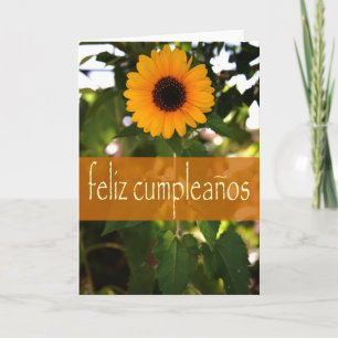 Cartão Spanish Birthday Card