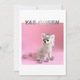 Cartão Sparkle The Tiny Chi   Parabéns Yas Queen