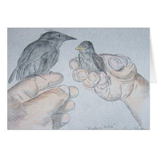 Cartão sparow e starling