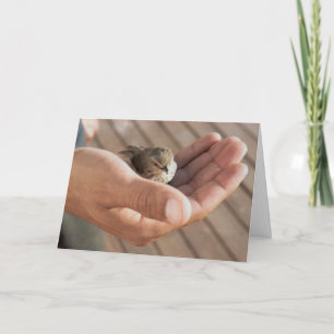 Cartão Sparrow bird Eye on the sparrow greeting card
