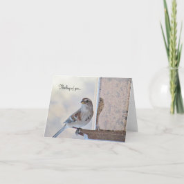 Cartão Sparrow e Feeder - Pensando em você - Placa de Vaz