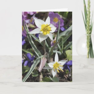 Cartão Species tulip Mother's Day card