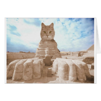 Cartão SphinxCat
