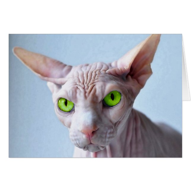 CARTÃO SPHYNX (Frente Horizontal)