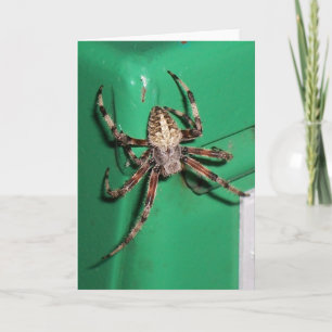 Cartão Spider 7704 - Vertical